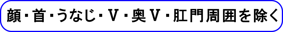 顔・首・うなじ・X・奥X・肛門周囲を除く