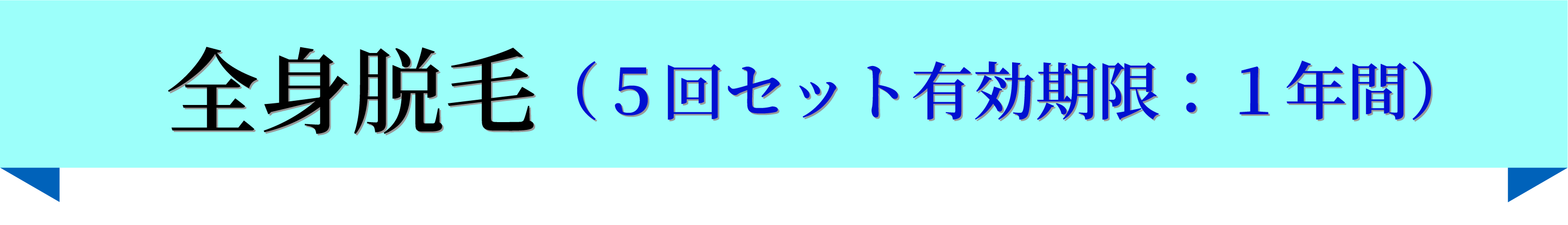全身脱毛(5回セット有効期限:1年間)