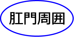 肛門周辺