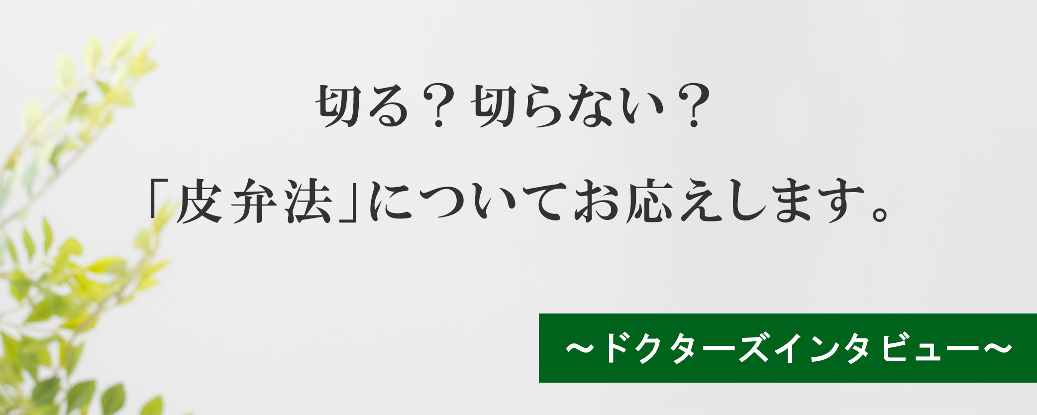 Doctor's File 切る?切らない?「皮弁法」についてお応えします